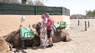Hatalmas cickós arab hölgyemény szexelése