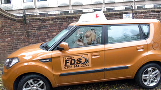 Fake Driving School - Louise Lee szereti a méretes kárót